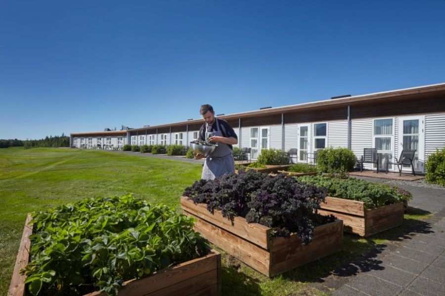 Icelandair Hotel Hamar, Borgarnes