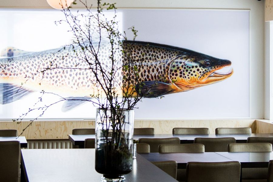 ION Adventure Hotel - Nesjavellir