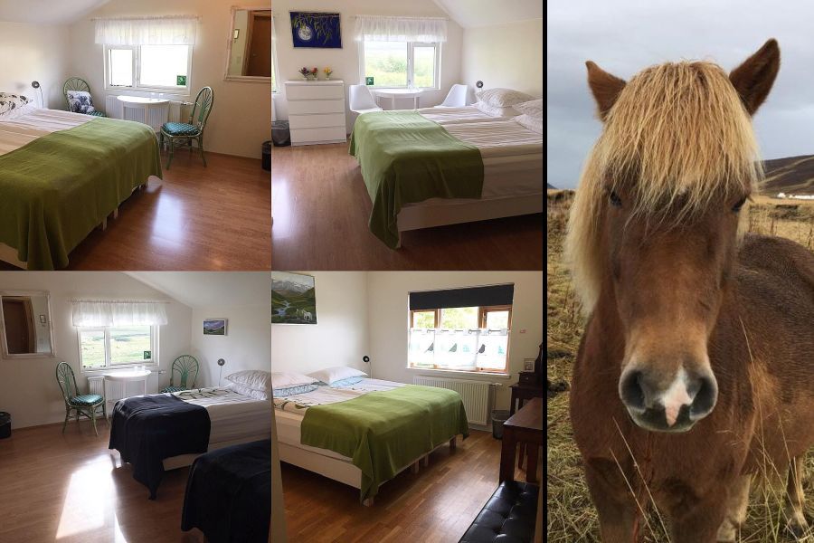 Ondolfsstadir Farm B&B - Laugar