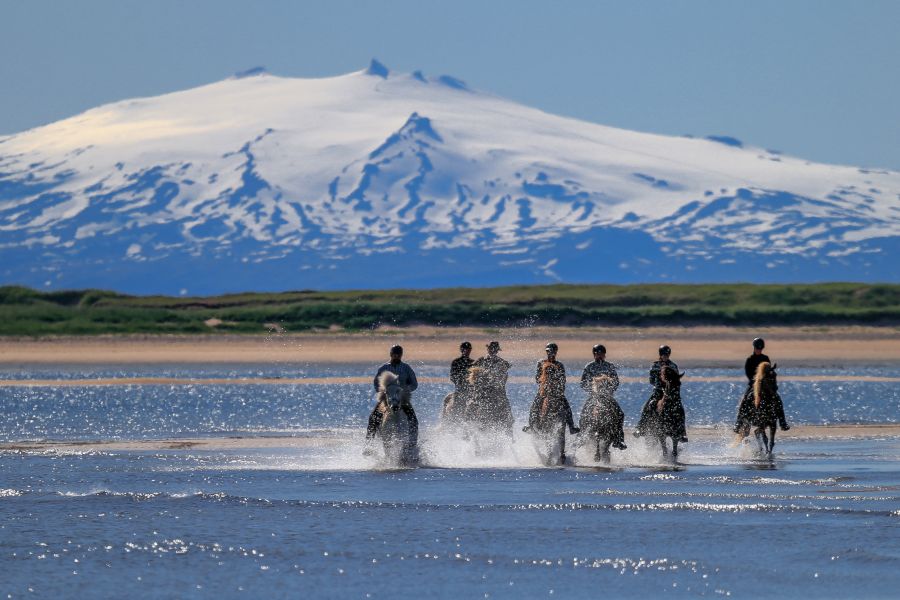 Snaefellsnes Autorondreis IJsland