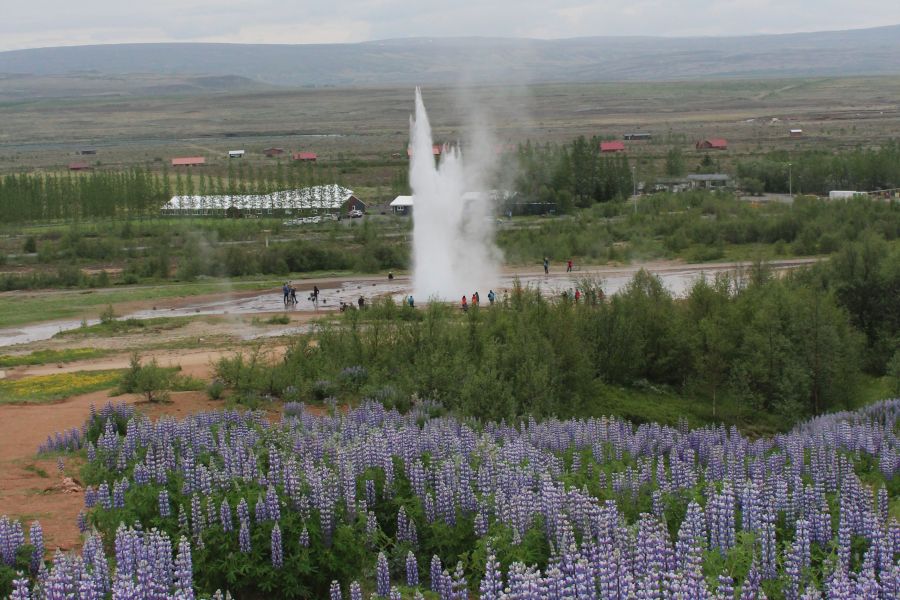 Geysir IJsland