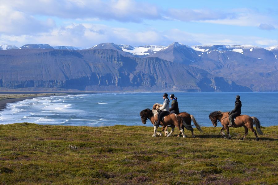 Paardrijden Noord-IJsland