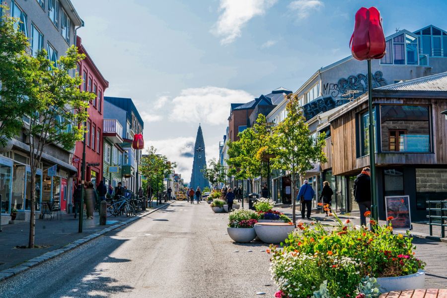 Vliegreis Reykjavik met excursies