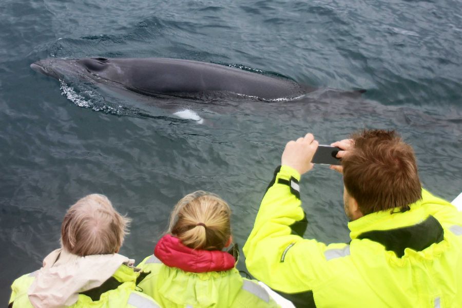 Vliegreis Reykjavik met excursies