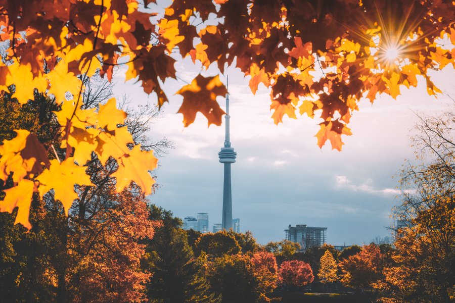 Uitzicht op de CN Tower in Toronto tijdens de herfst in Canada.