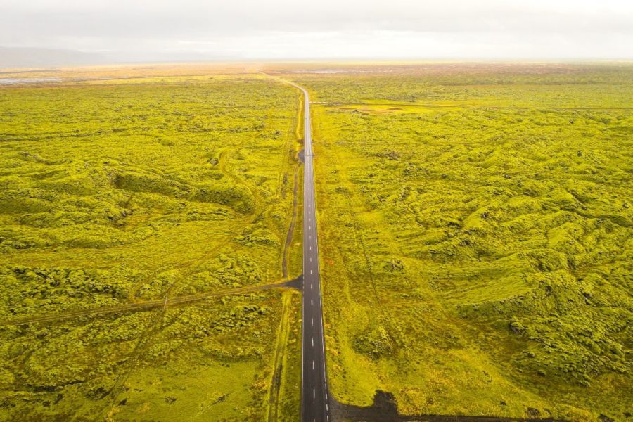 Eldhraun mosvelden IJsland