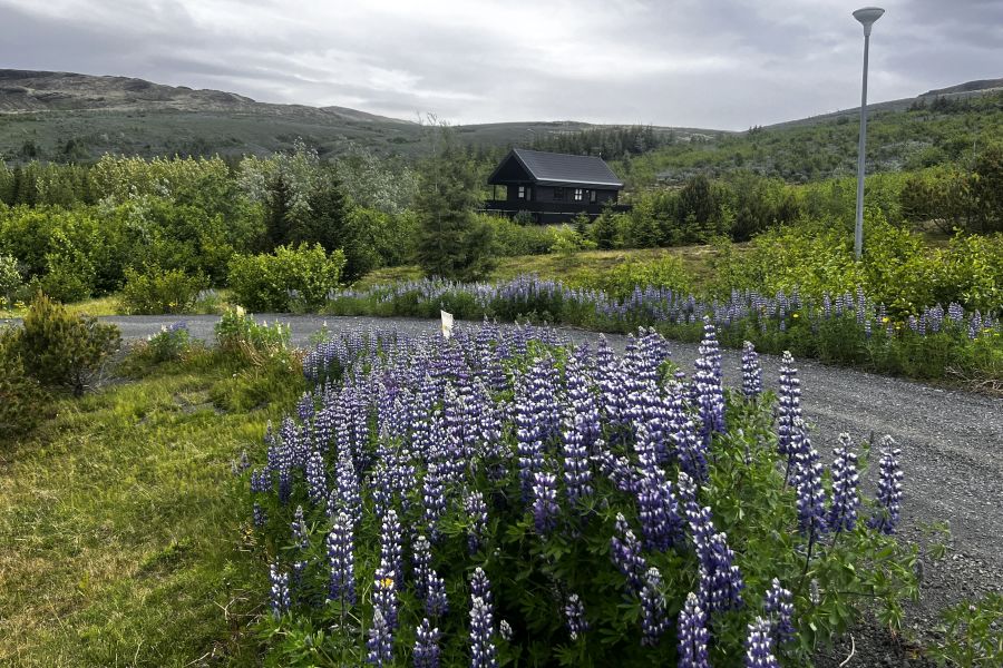 Gljufur Cottages, Hveragerði 