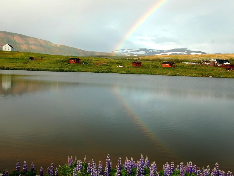 Bbi Travel Specialist Voor Reizen Naar Ierland Noorwegen Ijsland