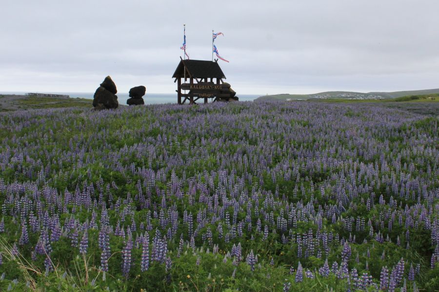 Kaldbaks Kot Cottages, Husavik