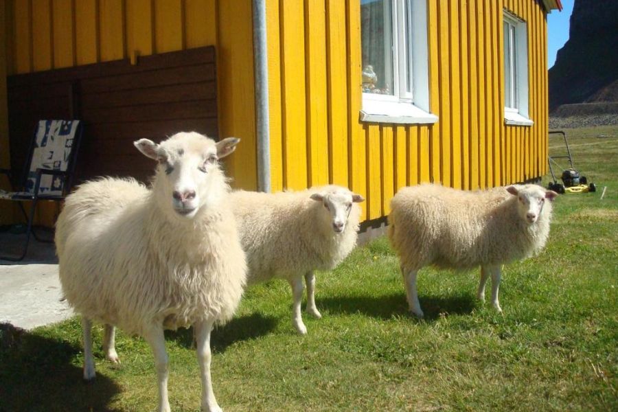 Haenuvik Cottages, Haenuvik