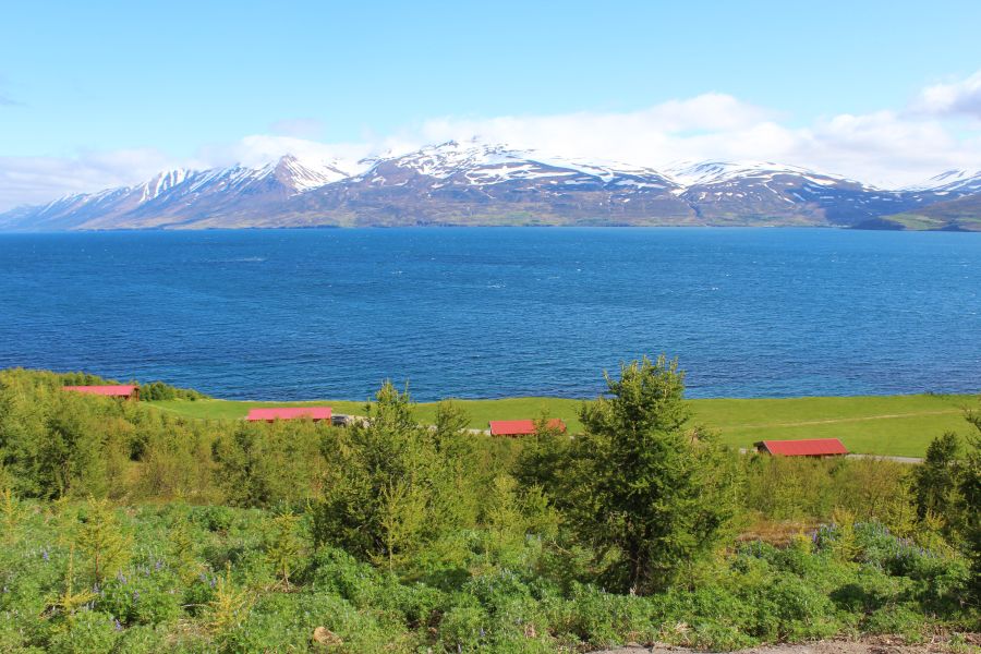 Ytri Vik Cottages, Dalvik