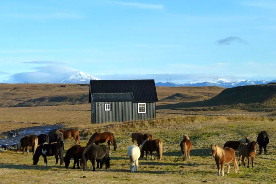Vakantie Skinnhufa Cottages - Hella/Hekla in Diversen (IJsland, IJsland)