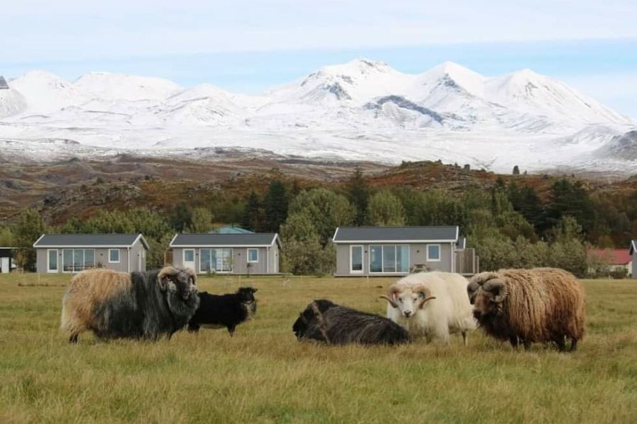 Vakantie Midhraun Lava Resort - Midhraun in Diversen (IJsland, IJsland)