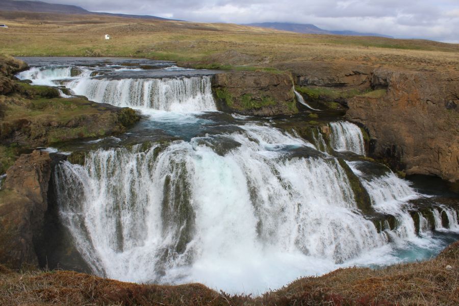 Reykjafoss Autorondreis IJsland