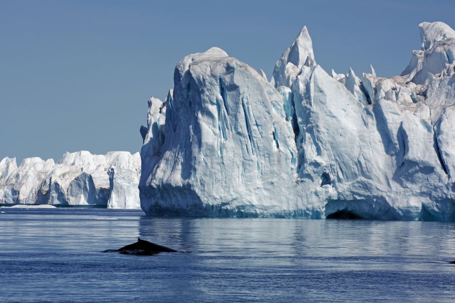 Ilulissat Groenland