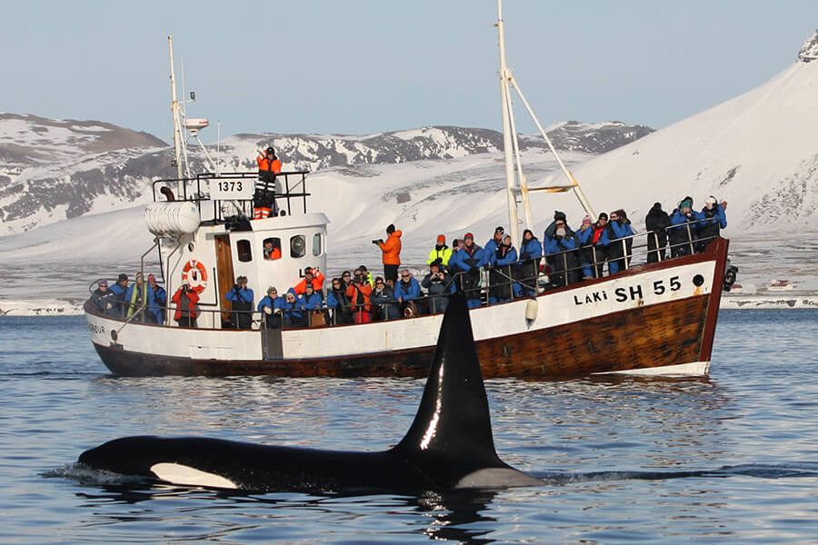 Orka’s Grundarfjordur Autorondreis IJsland