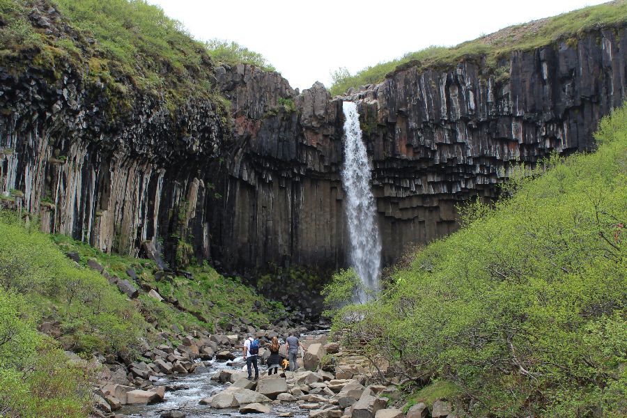 Skaftafell Svartifoss Autorondreis IJsland