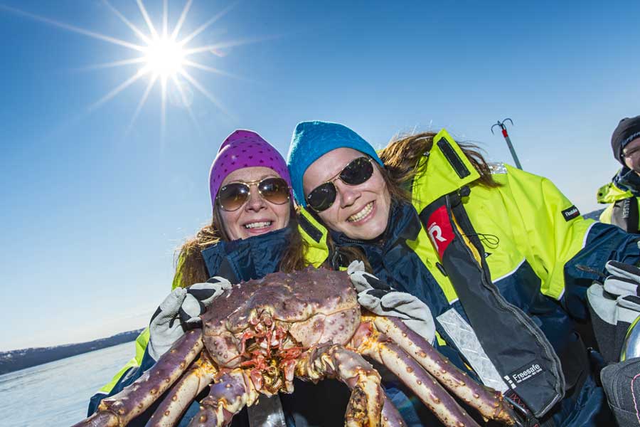 King Crab safari