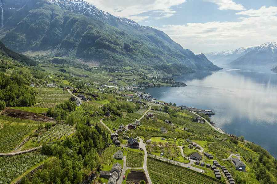 Fly drive rondreis Hardangerfjord en Sognefjord