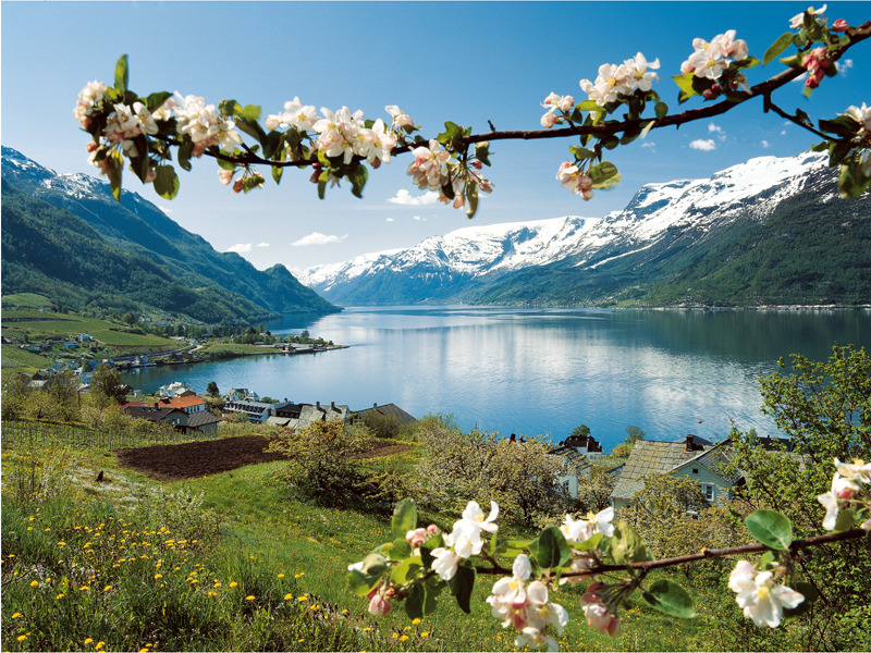 Prachtige Noorse natuur in Hardanger