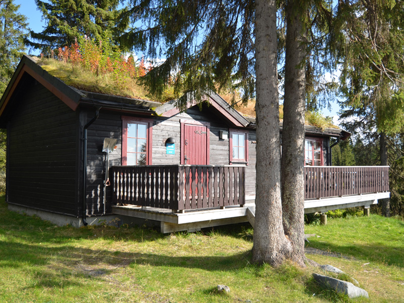 Nordseter Hyttegrend