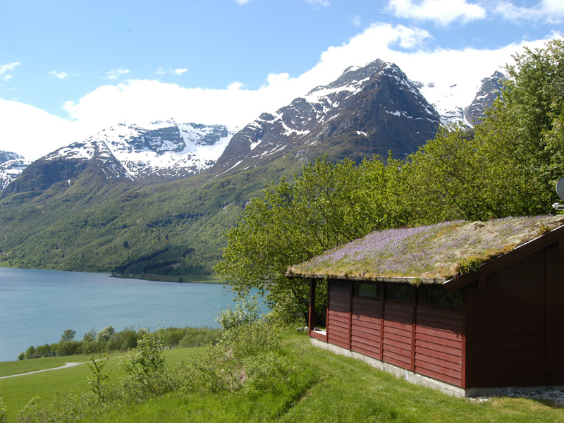 Flåten Feriehytter