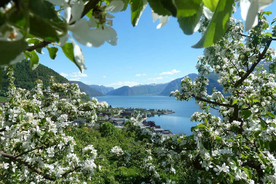 Sognefjord doorkijkje