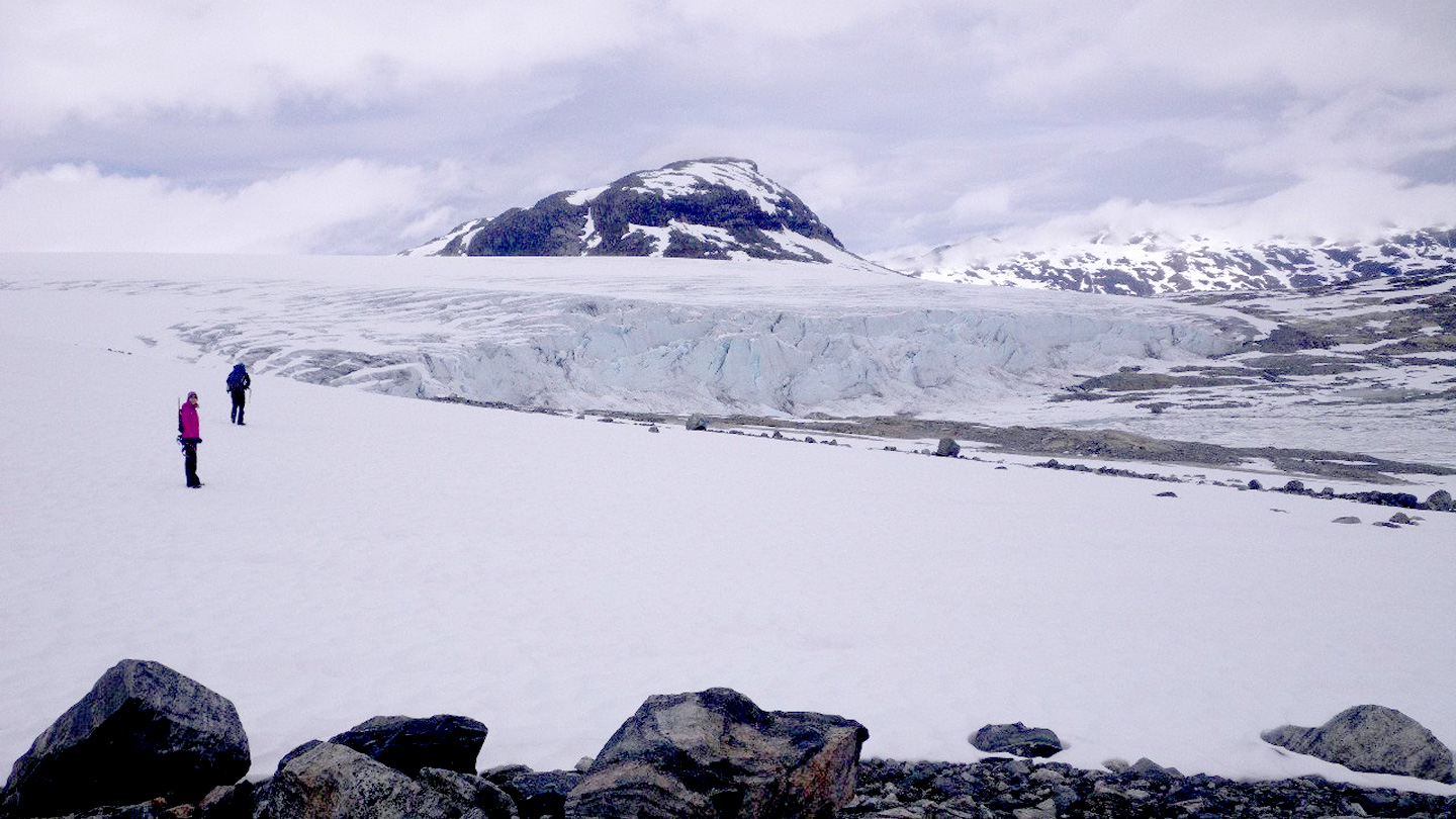 Gletsjerwandelingen Nigardsbreen & Austdalsbreen