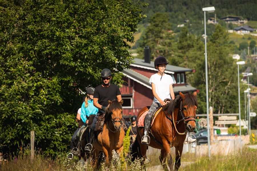 Geilo paardrijden