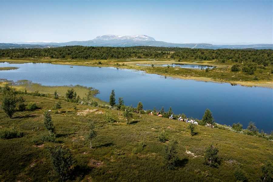 Geilo paardrijden