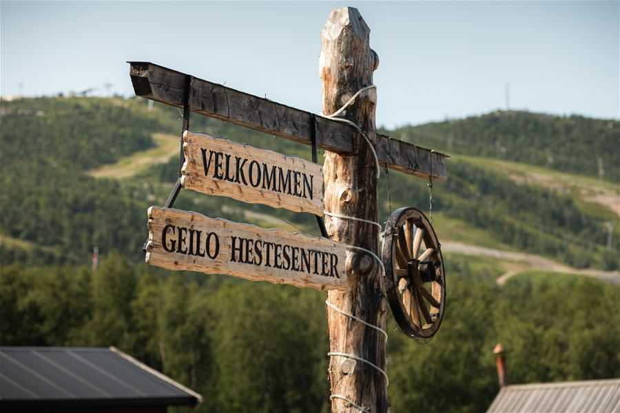 Geilo paardrijden