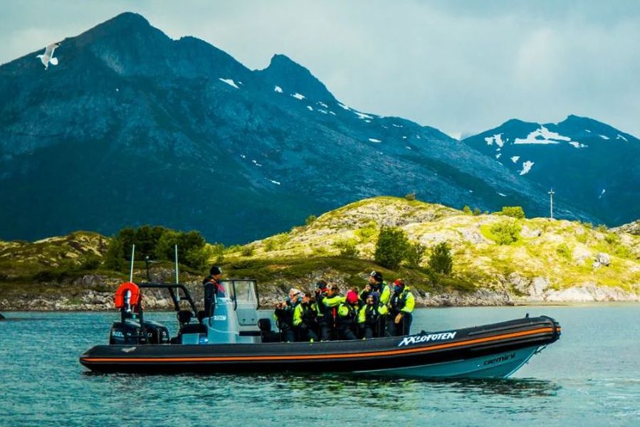 Zeearendsafari per RIB-boot, Svolvær