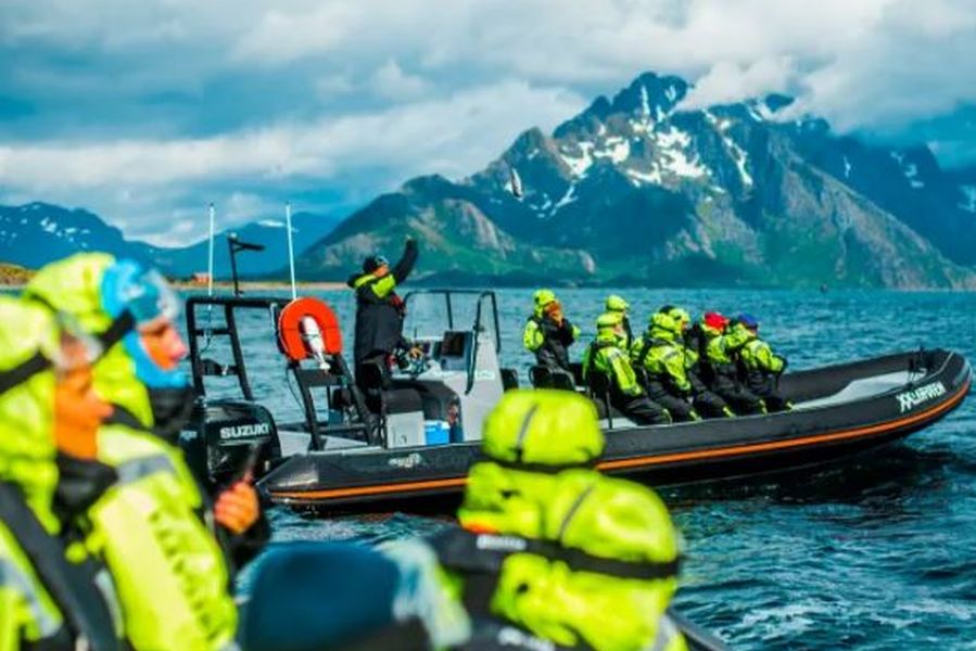 Zeearendsafari per RIB-boot, Svolvær