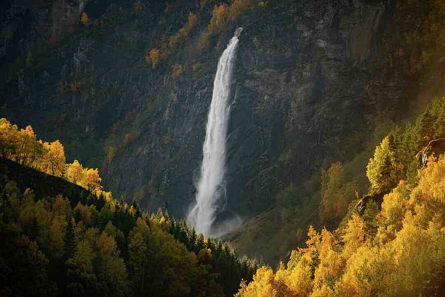 Flåmsbana retour: Flåm-Myrdal-Flåm