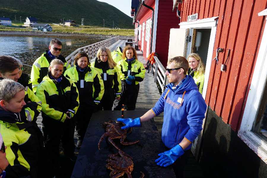 King crab RIB-safari Honningsvåg