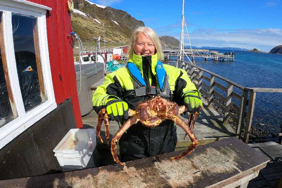 King crab RIB-safari Honningsvåg 