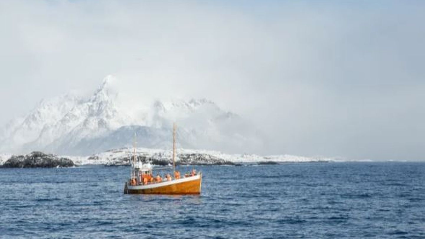 Vistrip Lofoten, Svolvaer afbeelding 1