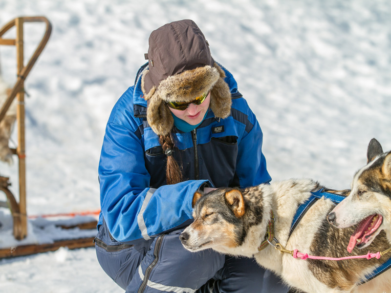 Tromsø Huskysafari bij Camp Tamok