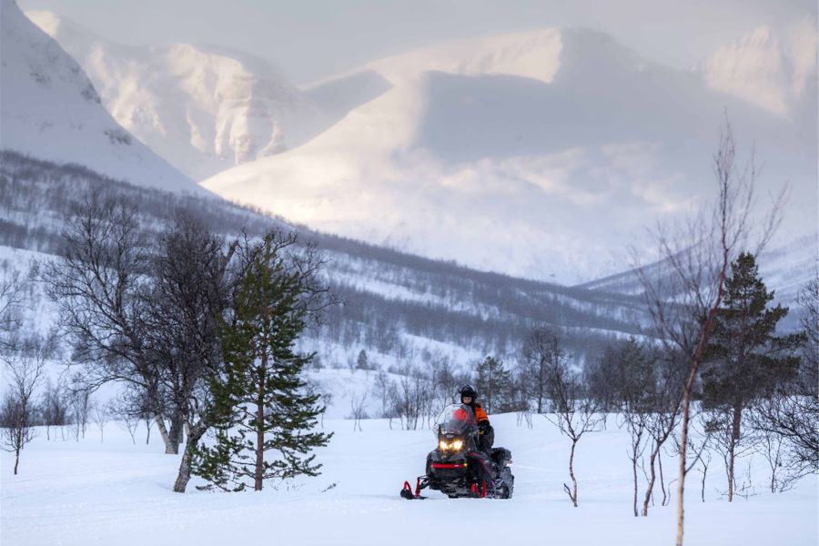 Tromsø Sneeuwscootersafari bij Camp Tamok