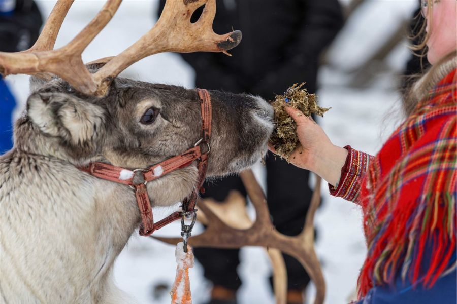 Tromsø Arctic combinatie programma bij Camp Tamok