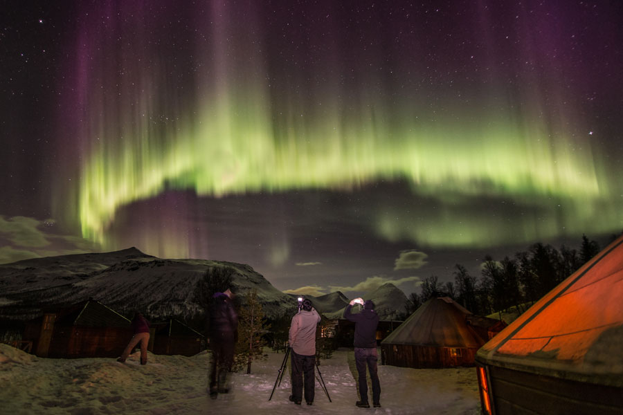 Tromsø Noorderlicht bij Camp Tamok