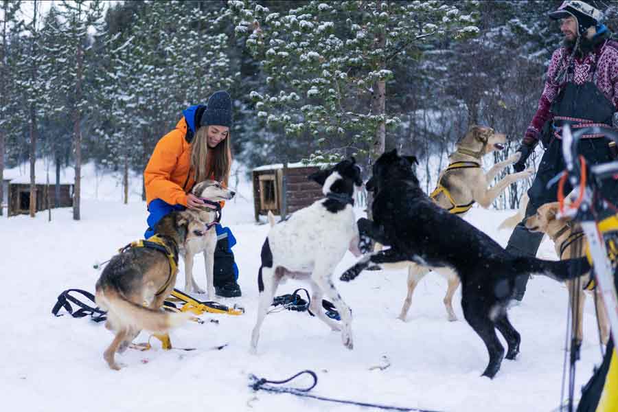 Tromsø Huskysafari Fun & Easy Breivikeidet