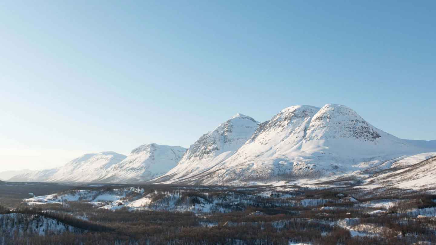 Tromsø Husky Experience met korte huskyrit vanaf kamp Breivikeidet afbeelding