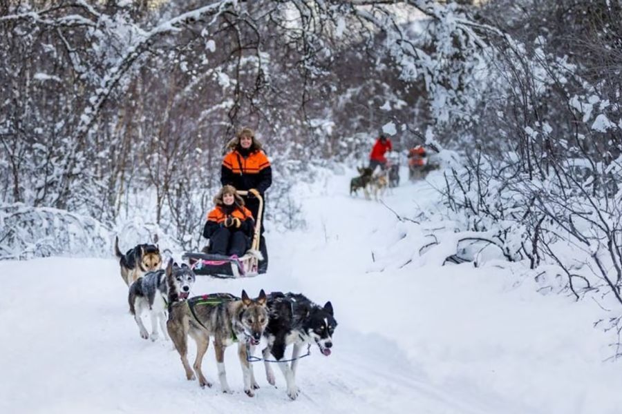 Husky tocht Camp Tamok