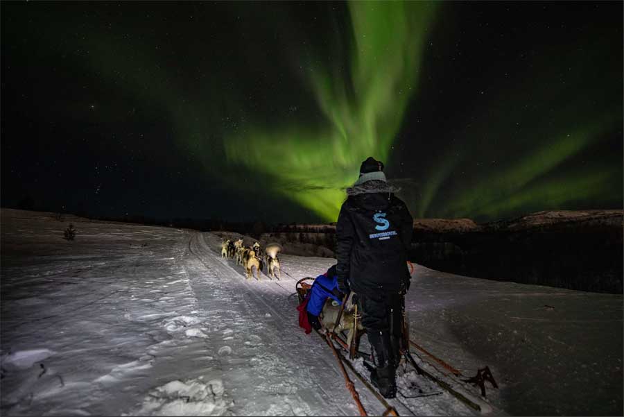 Huskysafari op jacht naar het Noorderlicht Snowhotel Kirkenes