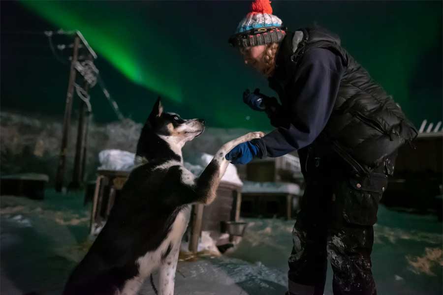 Huskysafari op jacht naar het Noorderlicht Snowhotel Kirkenes