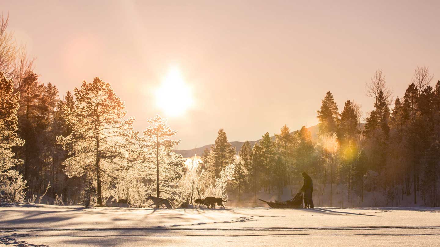 Vakantie Malangen de Wildernis in op sneeuwschoenen in Diversen (Noorwegen Winter, Noorwegen)