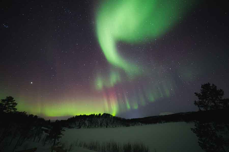 Malangen Noorderlichtsafari op sneeuwschoenen afbeelding