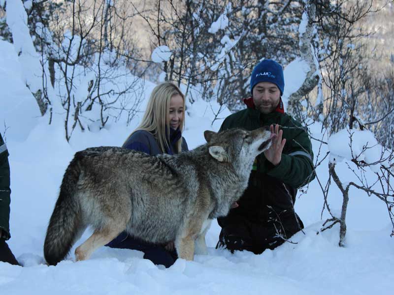Polar Park