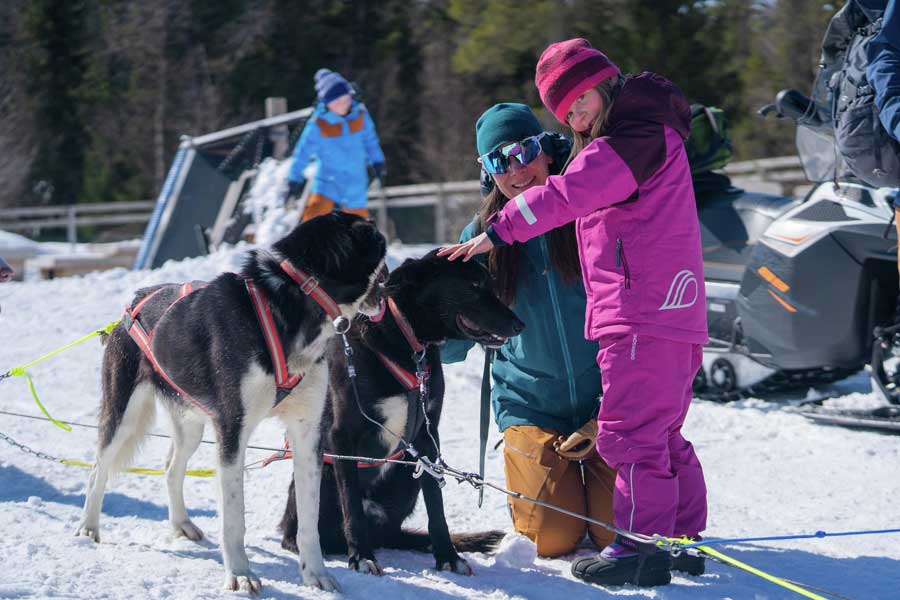 Korte Huskysafari Trysil - 1 uur